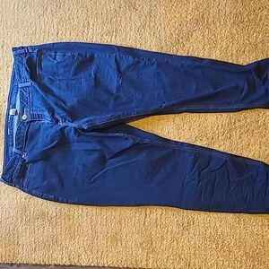 Lane Bryant Skinny Jeans